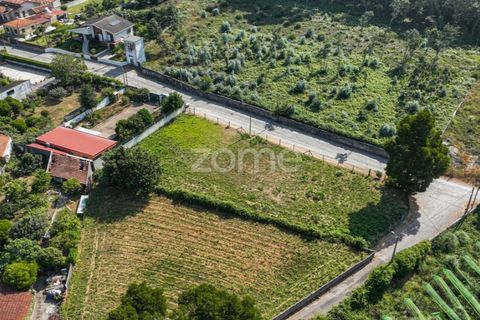 Terra a Grijo, Porto, Grijo - € 65.000 | Ref: ZMPT578733 - foto 9
