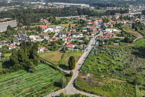 Terra a Grijo, Porto, Grijo - € 65.000 | Ref: ZMPT578733 - foto 14