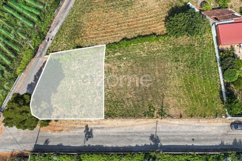 Terra a Grijo, Porto, Grijo - € 65.000 | Ref: ZMPT578733 - foto 2
