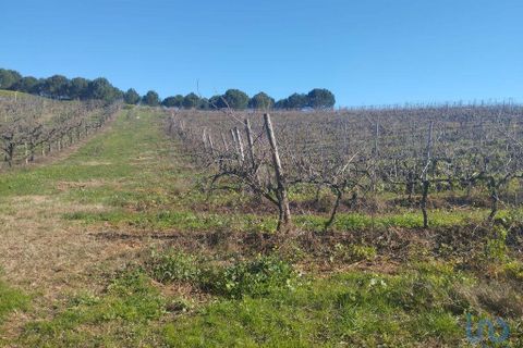 Terra a Cadaval, Lisbon, Cadaval - € 320.000 | Ref: 90961 - foto 8