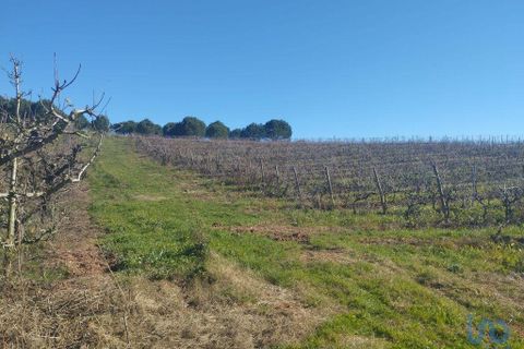 Terra a Cadaval, Lisbon, Cadaval - € 320.000 | Ref: 90961 - foto 11