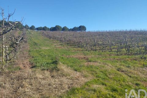 Terra a Cadaval, Lisbon, Cadaval - € 320.000 | Ref: 90961 - foto 16