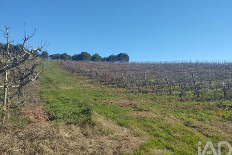 Terra a Cadaval, Lisbon, Cadaval - € 320.000 | Ref: 90961 - foto 20