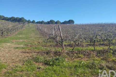 Terra a Cadaval, Lisbon, Cadaval - € 320.000 | Ref: 90961 - foto 27