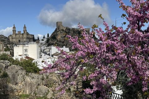 Stadthaus in Olvera, Cadiz, Olvera - € 5.000 | Ref: z111 - Foto 24