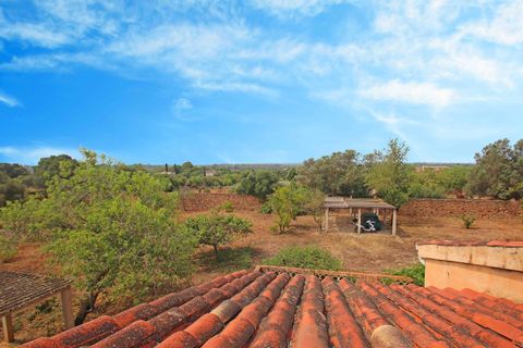 Finca i Llucmajor, Mallorca, Llucmajor - € 770.000 | Ref: FALC-AnRe-71986 - foto 16