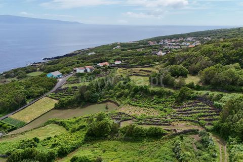 Helårsgrund i Lajes do Pico, Pico, Lajes do Pico - € 74.000 | Ref: 374250090 - foto 1