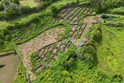 Helårsgrund i Lajes do Pico, Pico, Lajes do Pico - € 74.000 | Ref: 374250090 - foto 3