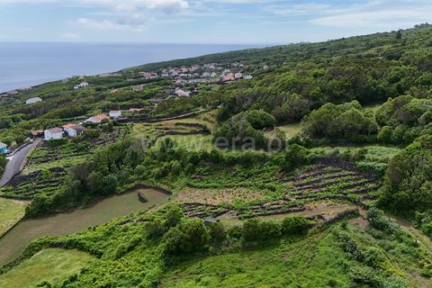 Helårsgrund i Lajes do Pico, Pico, Lajes do Pico - € 74.000 | Ref: 374250090 - foto 5