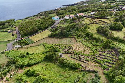 Helårsgrund i Lajes do Pico, Pico, Lajes do Pico - € 74.000 | Ref: 374250090 - foto 7
