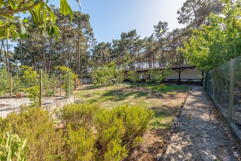 Villa a Almocageme, Lisbon, Almocageme - € 2.250.000 | Ref: TAPT01-1301_RC - foto 25