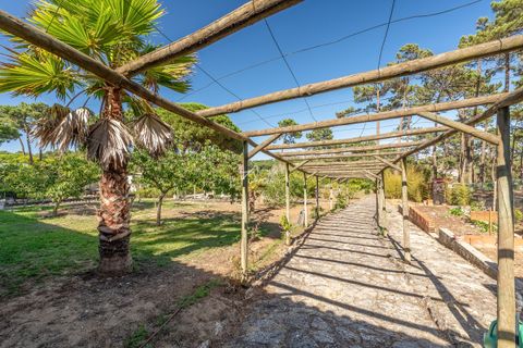 Villa a Almocageme, Lisbon, Almocageme - € 2.250.000 | Ref: TAPT01-1301_RC - foto 26