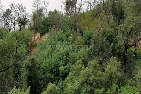 Helårsgrund i Monchique, Faro, Monchique - € 110.000 | Ref: 359250142 - foto 3