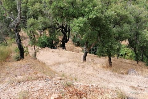 Helårsgrund i Monchique, Faro, Monchique - € 110.000 | Ref: 359250142 - foto 5
