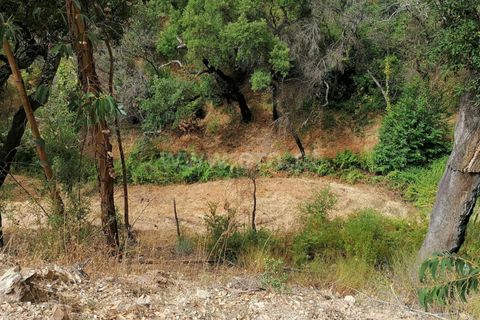 Helårsgrund i Monchique, Faro, Monchique - € 110.000 | Ref: 359250142 - foto 6