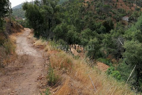 Helårsgrund i Monchique, Faro, Monchique - € 110.000 | Ref: 359250142 - foto 7