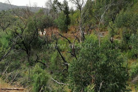 Helårsgrund i Monchique, Faro, Monchique - € 110.000 | Ref: 359250142 - foto 8
