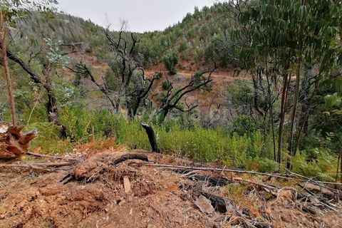 Helårsgrund i Monchique, Faro, Monchique - € 110.000 | Ref: 359250142 - foto 9