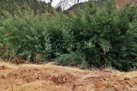 Helårsgrund i Monchique, Faro, Monchique - € 110.000 | Ref: 359250142 - foto 11
