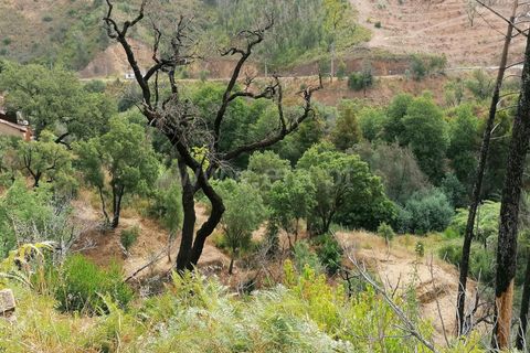 Helårsgrund i Monchique, Faro, Monchique - € 110.000 | Ref: 359250142 - foto 12