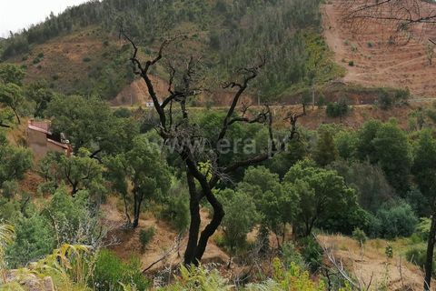 Helårsgrund i Monchique, Faro, Monchique - € 110.000 | Ref: 359250142 - foto 13