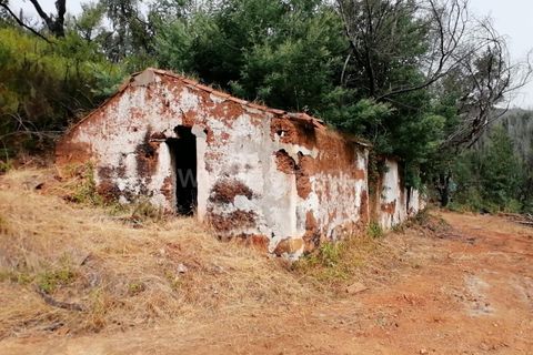 Helårsgrund i Monchique, Faro, Monchique - € 110.000 | Ref: 359250142 - foto 14
