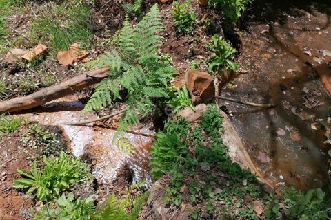 Helårsgrund i Monchique, Faro, Monchique - € 110.000 | Ref: 359250142 - foto 16