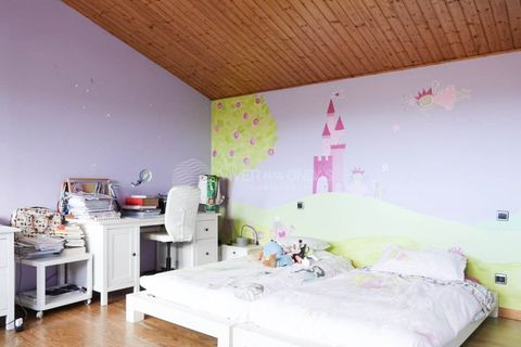Villa i Sequeade e Bastuco, Braga, Sequeade e Bastuco - € 745.000 | Ref: IP-TDM - foto 22