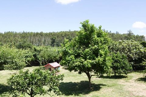 Villa i Sequeade e Bastuco, Braga, Sequeade e Bastuco - € 745.000 | Ref: IP-TDM - foto 41
