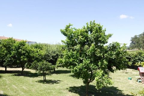 Villa i Sequeade e Bastuco, Braga, Sequeade e Bastuco - € 745.000 | Ref: IP-TDM - foto 42
