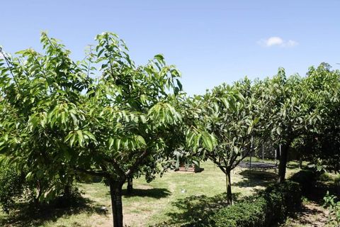 Villa i Sequeade e Bastuco, Braga, Sequeade e Bastuco - € 745.000 | Ref: IP-TDM - foto 43