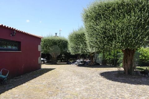Villa i Sequeade e Bastuco, Braga, Sequeade e Bastuco - € 745.000 | Ref: IP-TDM - foto 48