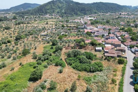 Byhus i Ansiao, Leiria, Ansiao - € 42.000 | Ref: 145540 - foto 3