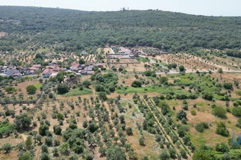 Byhus i Ansiao, Leiria, Ansiao - € 42.000 | Ref: 145540 - foto 6