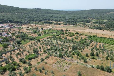 Byhus i Ansiao, Leiria, Ansiao - € 42.000 | Ref: 145540 - foto 7