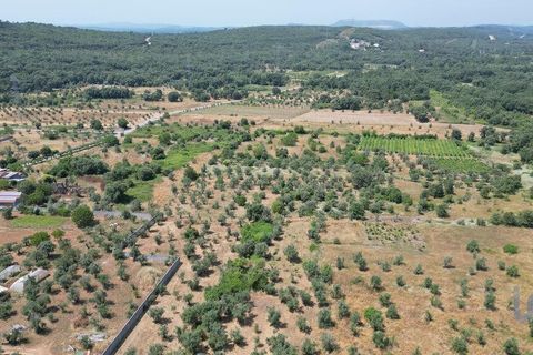 Byhus i Ansiao, Leiria, Ansiao - € 42.000 | Ref: 145540 - foto 8