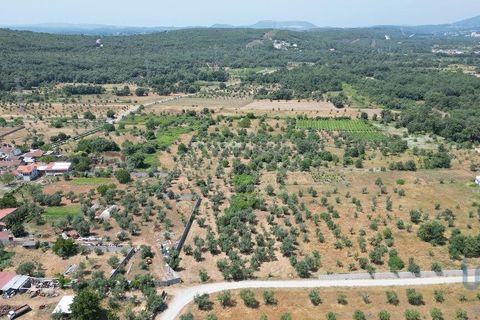 Byhus i Ansiao, Leiria, Ansiao - € 42.000 | Ref: 145540 - foto 9