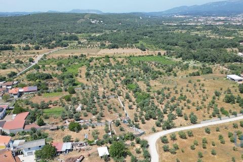 Byhus i Ansiao, Leiria, Ansiao - € 42.000 | Ref: 145540 - foto 10