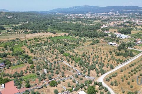 Byhus i Ansiao, Leiria, Ansiao - € 42.000 | Ref: 145540 - foto 11