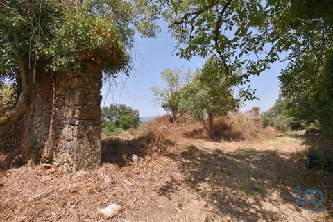 Byhus i Ansiao, Leiria, Ansiao - € 42.000 | Ref: 145540 - foto 15