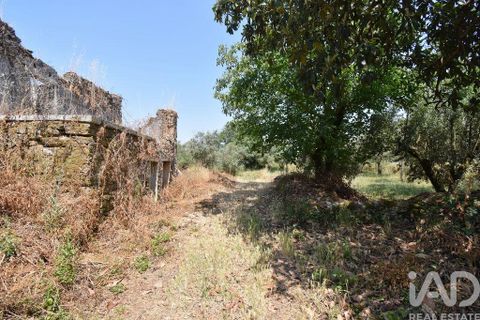 Byhus i Ansiao, Leiria, Ansiao - € 42.000 | Ref: 145540 - foto 17