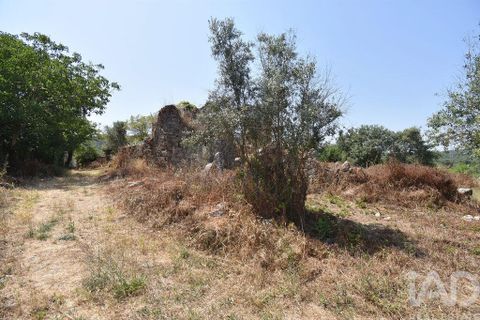 Byhus i Ansiao, Leiria, Ansiao - € 42.000 | Ref: 145540 - foto 21