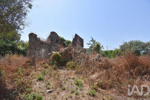 Byhus i Ansiao, Leiria, Ansiao - € 42.000 | Ref: 145540 - foto 22