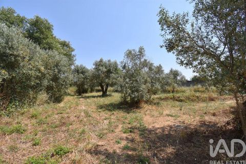 Byhus i Ansiao, Leiria, Ansiao - € 42.000 | Ref: 145540 - foto 25