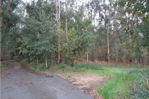 Terra a Ovar, Aveiro, Ovar - € 90.000 | Ref: 113708 - foto 3