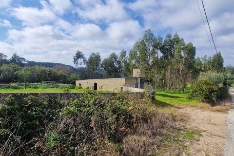 Terra a Mafra, Lisbon, Mafra - € 169.000 | Ref: 115448 - foto 3