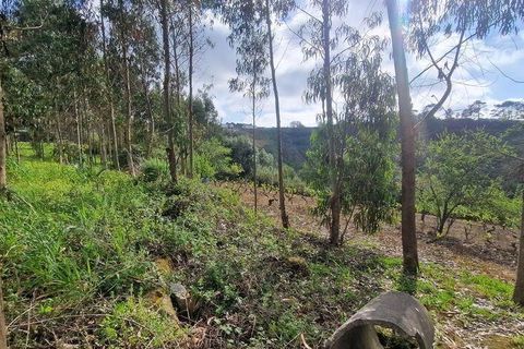 Terra a Mafra, Lisbon, Mafra - € 169.000 | Ref: 115448 - foto 5