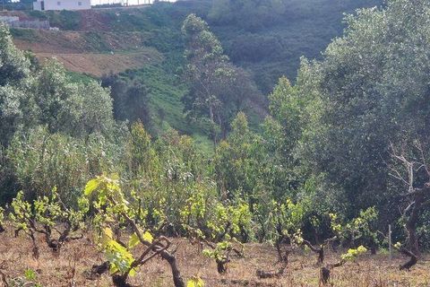 Terra a Mafra, Lisbon, Mafra - € 169.000 | Ref: 115448 - foto 7