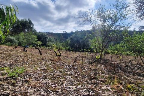 Terra a Mafra, Lisbon, Mafra - € 169.000 | Ref: 115448 - foto 8