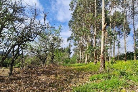 Terra a Mafra, Lisbon, Mafra - € 169.000 | Ref: 115448 - foto 9
